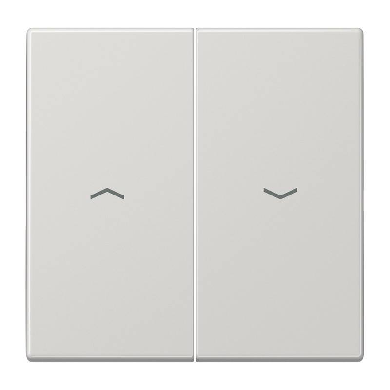 Jung Wippe Symbole lgr LS 995 P LG