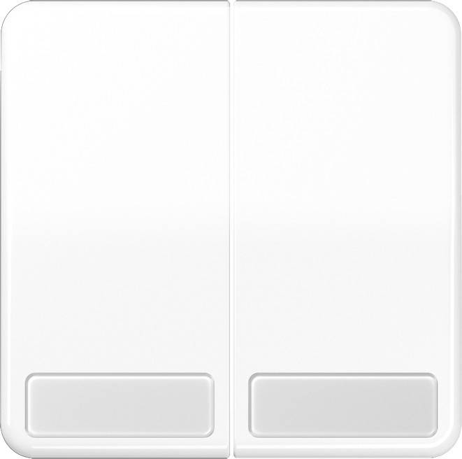 Jung Wippe Schriftfeld aws CD 595 NA WW