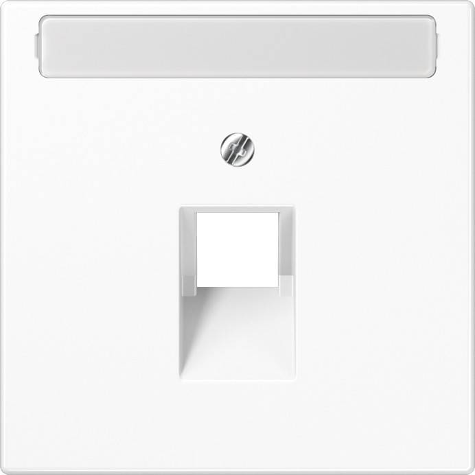 Jung Abdeckung Schriftfeld aws LS 969-1 NAUA WW