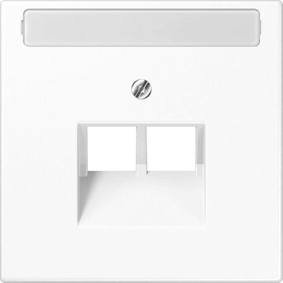 Eine weiße Wandabdeckung mit zwei rechteckigen Schlitzen und einer zentralen Schraube, die üblicherweise für Netzwerk- oder Stromsteckdosen verwendet wird.