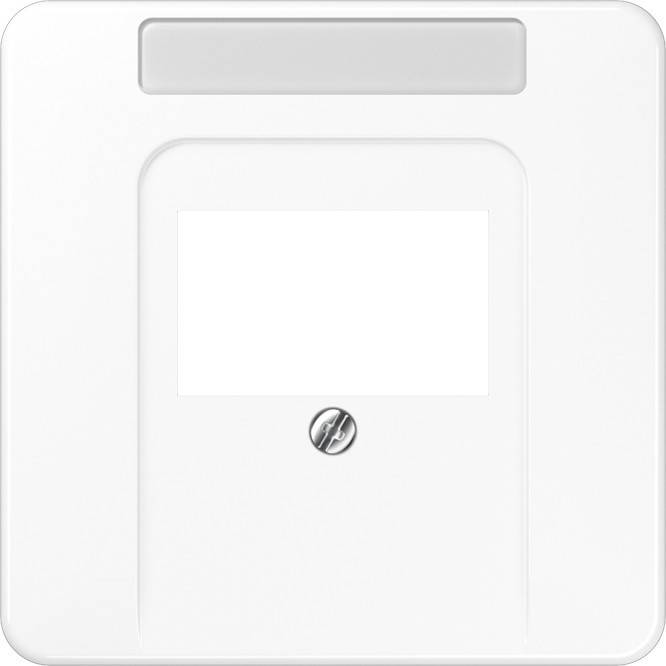 Jung Abdeckung Schriftfeld aws CD 569 TNA WW