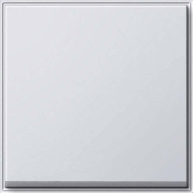 Gira Wippe Wechselsch. rws 029666