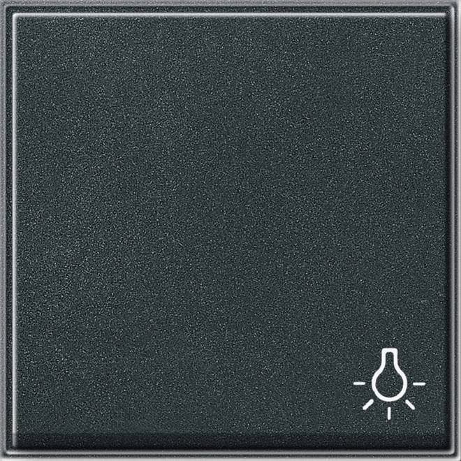 Gira Wippe Licht anth 028567