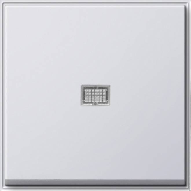 Gira Wippe Kontroll. rws 029066