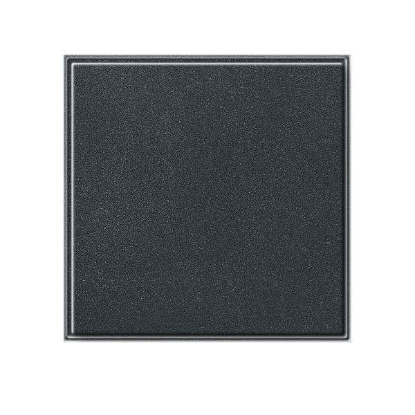 Gira Blindabdeckung anth 026867