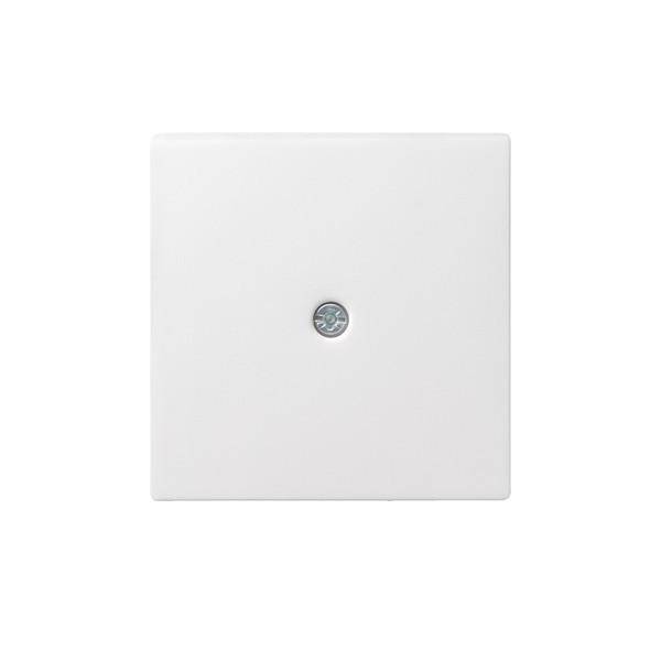 Gira Zentralpl.Schnurabl. rws 027427