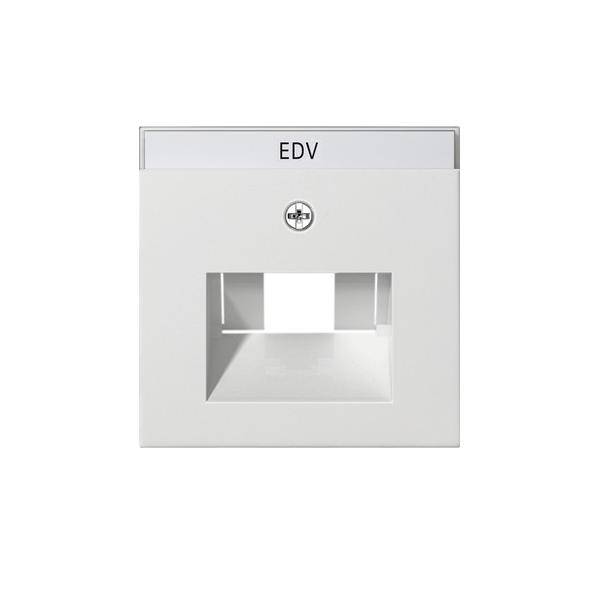 Gira Zentralplatte UAE/IAE rws 028427