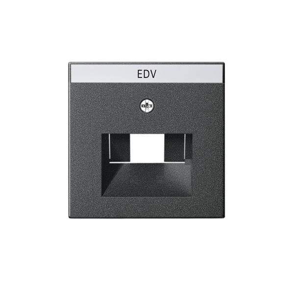 Gira Zentralplatte UAE/IAE anth 028428