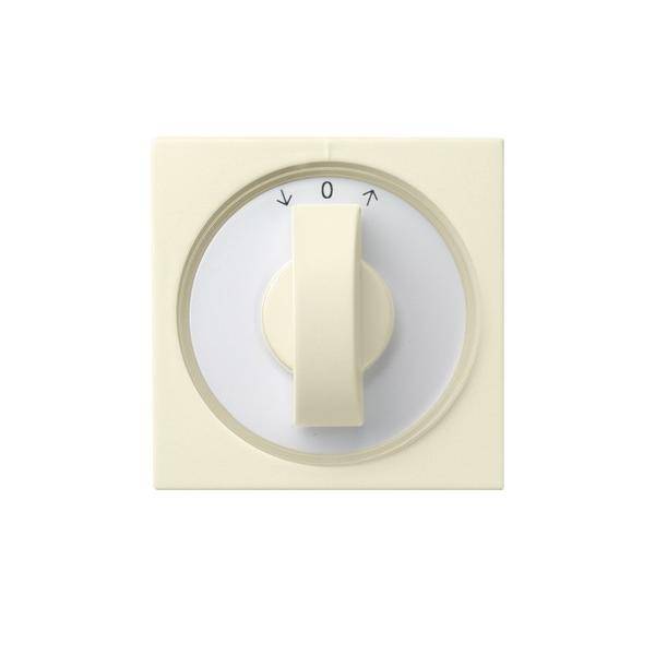 Gira Zentralplatte cws-gl 066601