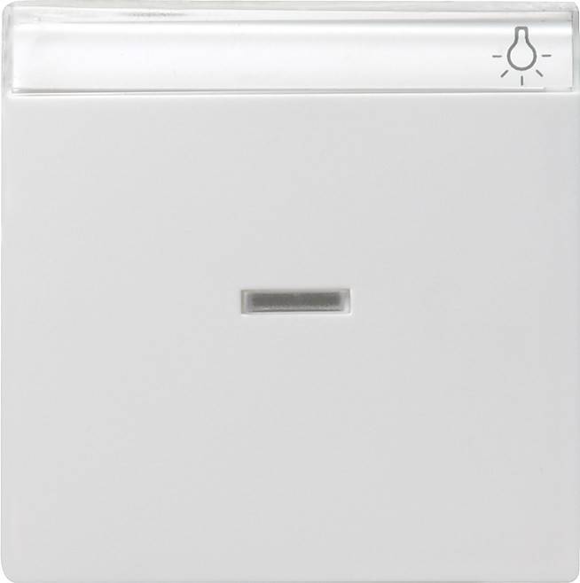 Gira Wippe Kontoll. rws-gl 067003