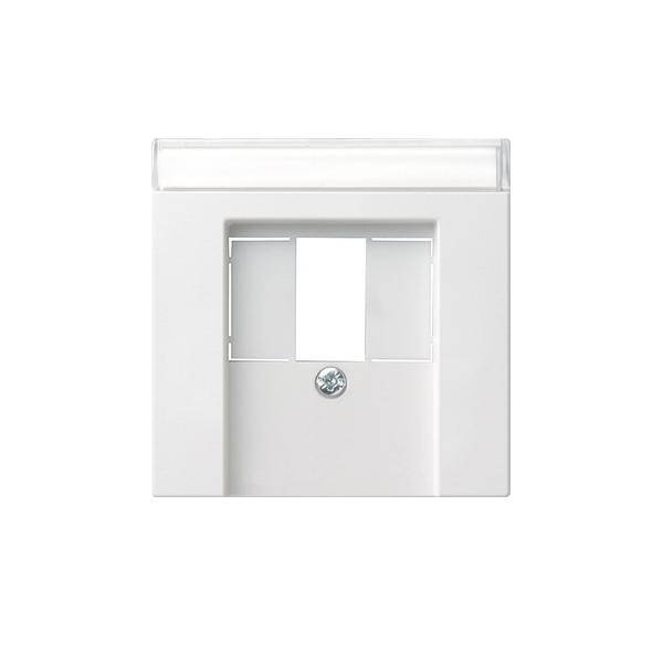 Gira Zentralplatte TAE rws 087627