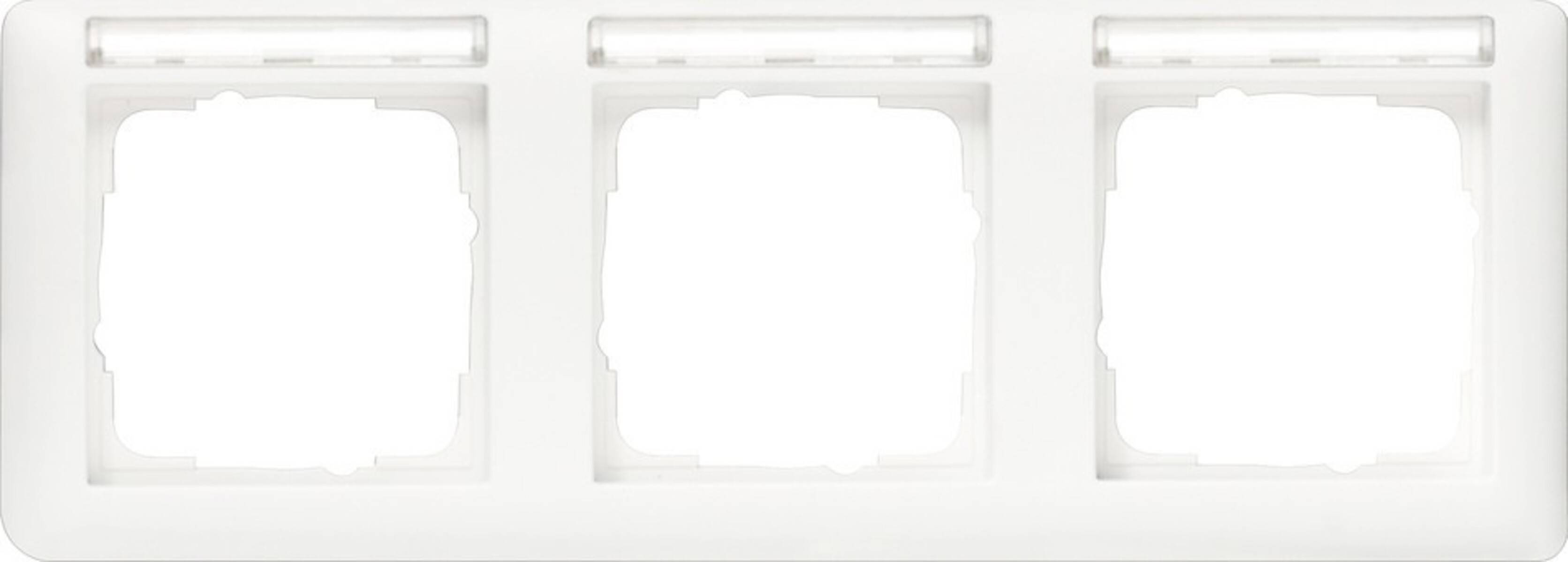 Gira Rahmen 3f.rws-gl 109303