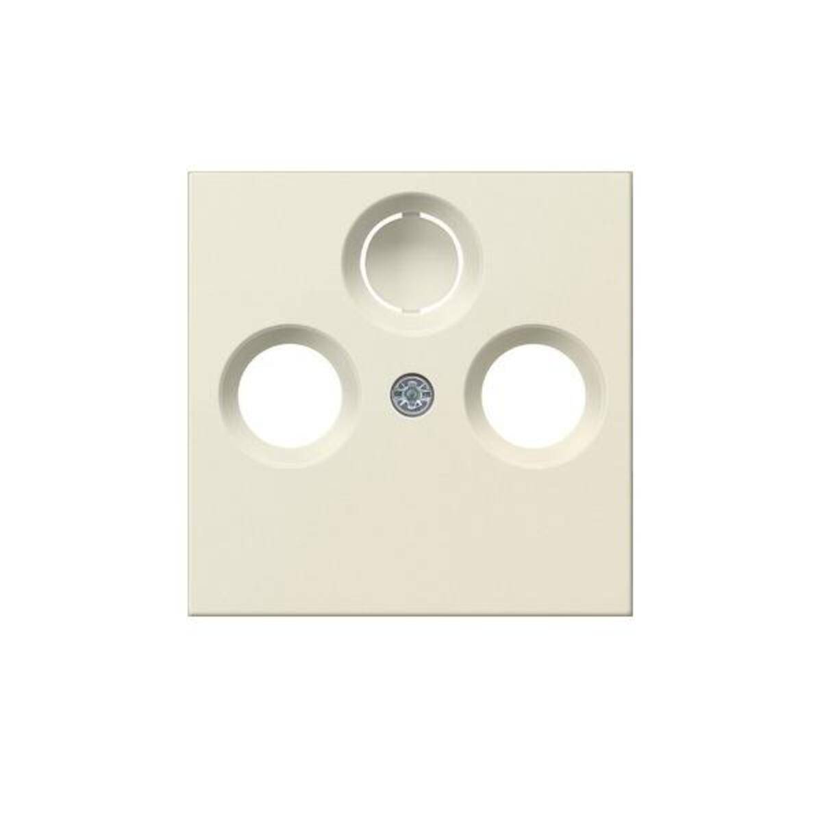 Gira Zentralplatte cws-gl 086901