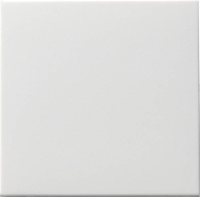 Gira Wippe rws 091603