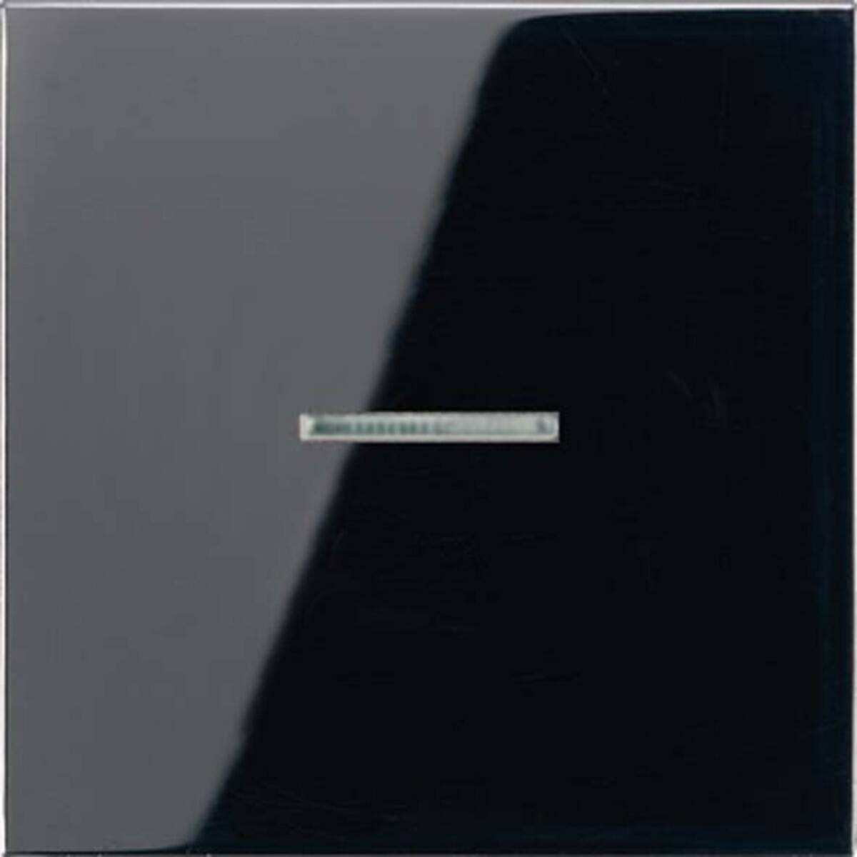 Jung Wippe Lichtleiter ws LS 990 KO5 SW