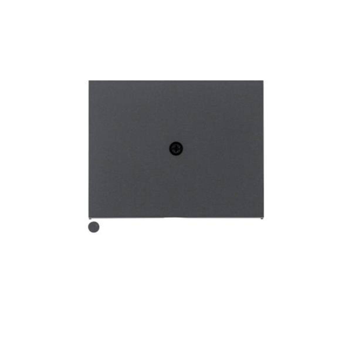 Berker Zentralstück 10057006