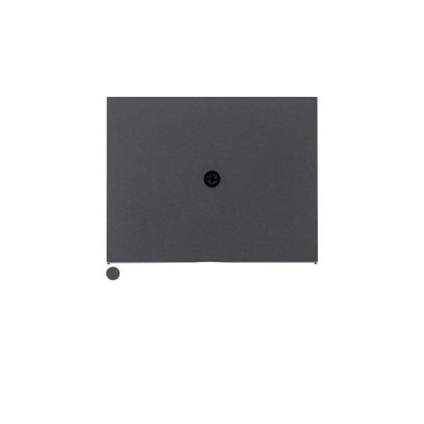 Berker Zentralstück 10057006