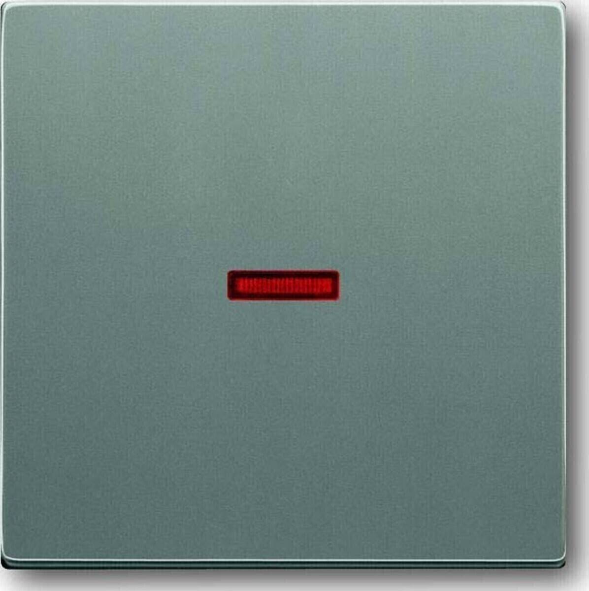 Busch-Jaeger Kontroll-Wippe meteor/gr 1789-803