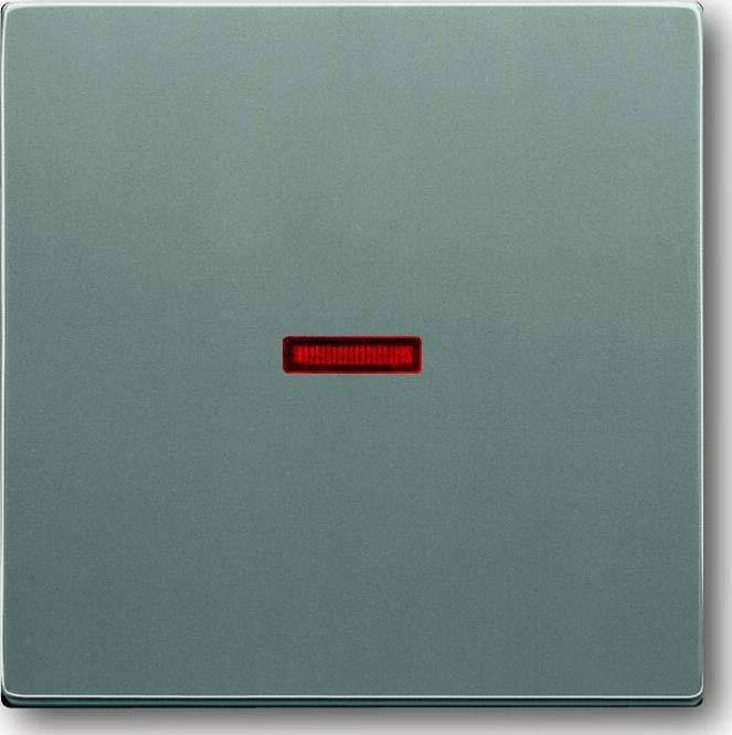 Busch-Jaeger Kontroll-Wippe meteor/gr 1789-803