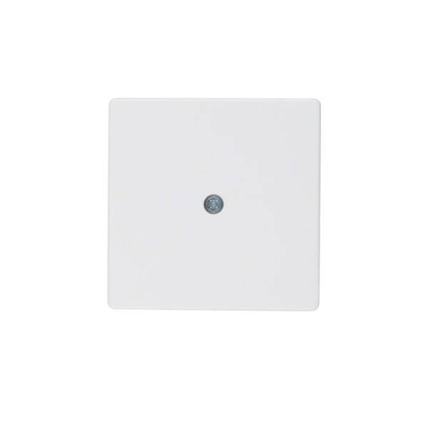 Berker Zentralstück 10196089