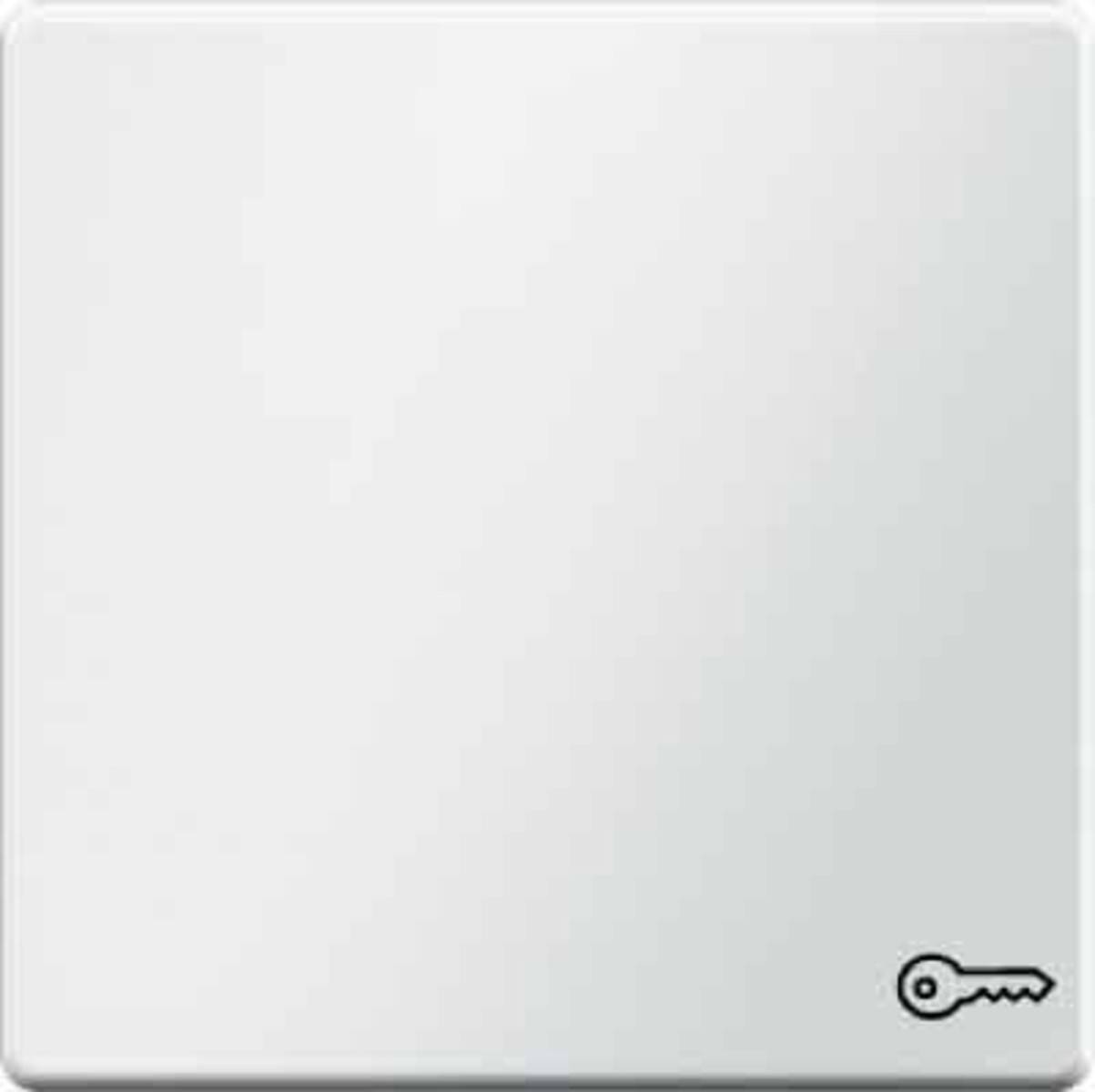 Berker Wippe 16206069