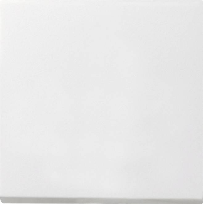 Gira Wippschalter rws 0916112