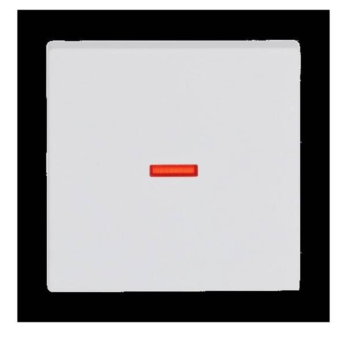 Busch-Jaeger Kontroll-Wippe stws mt 1789-884