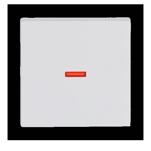 Busch-Jaeger Kontroll-Wippe stws mt 1789-884