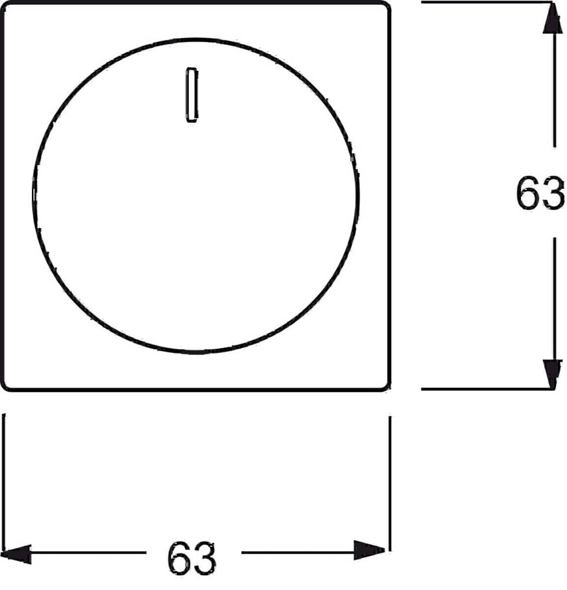 Busch-Jaeger Zentralscheibe sav/ews 6540-82-102
