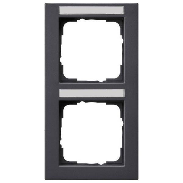 Gira Abdeckrahmen 2f. anth 110223