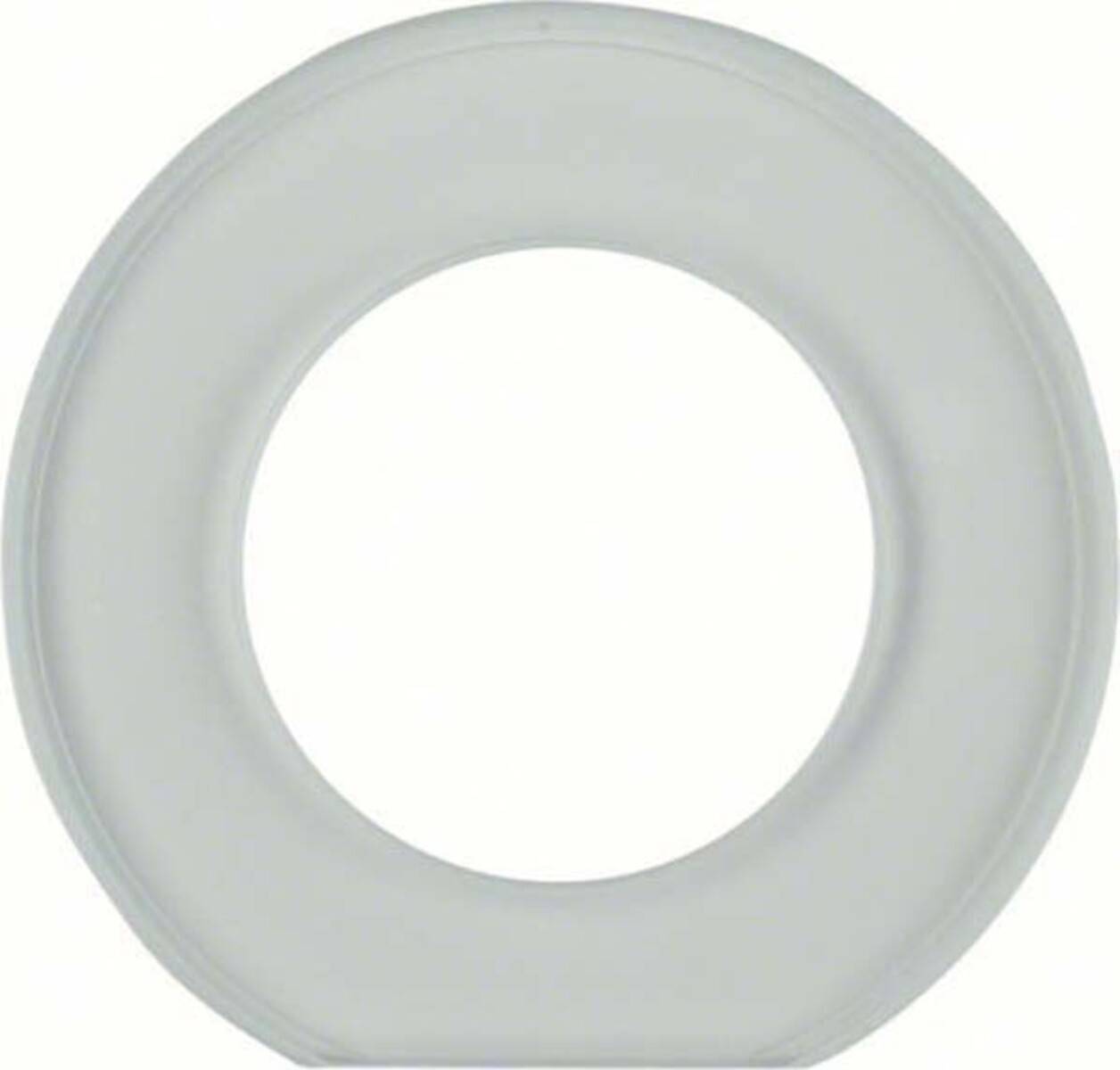 Berker Glasendrahmen 109200