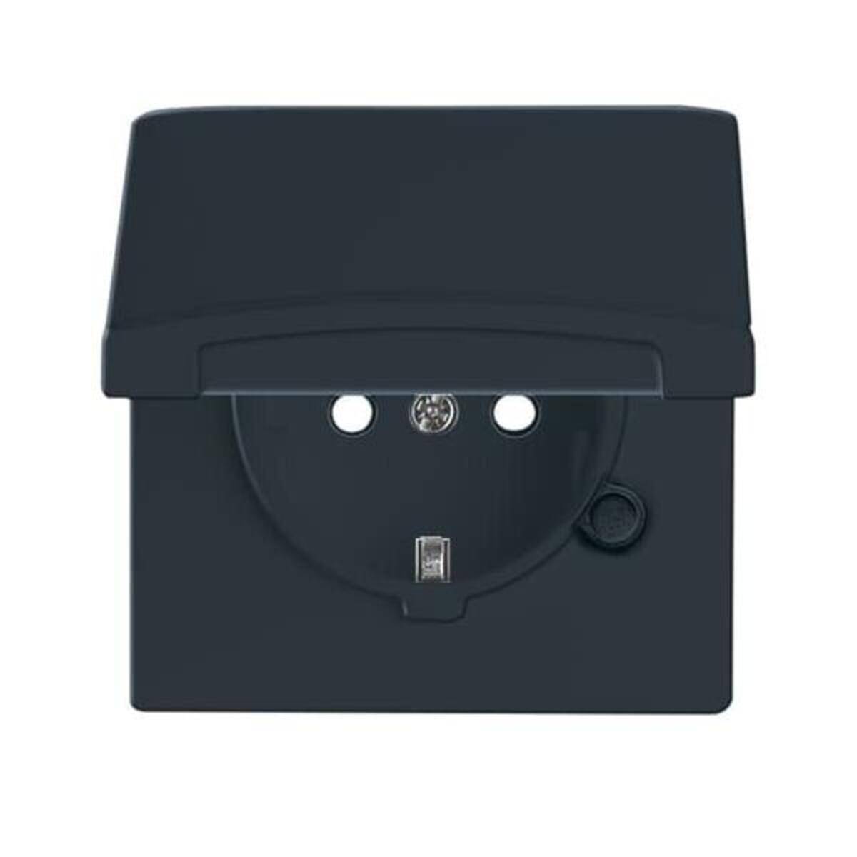 Busch-Jaeger Schuko-Steckdoseneinsatz 20 EUGKB-35-101