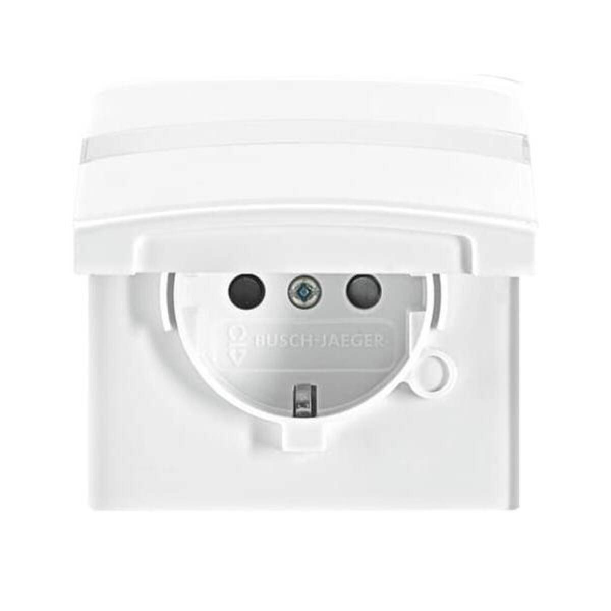 Busch-Jaeger Schuko-Steckdoseneinsatz 20 EUGKBN-34-101