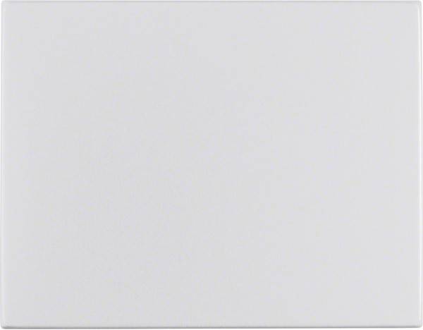 Berker Wippe Alu 14057003