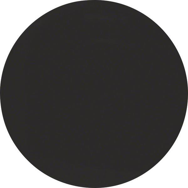 Berker Wippe sw/gl 16202045