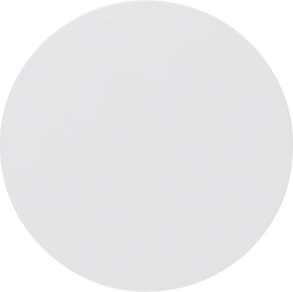 Berker Wippe pows/gl 16202089