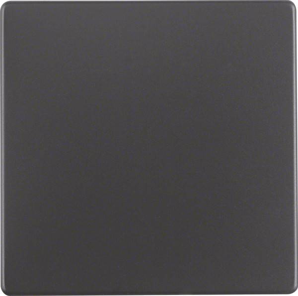 Berker Wippe anth/sa 16206086