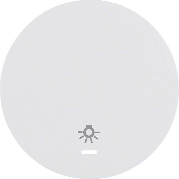 Berker Wippe pows/gl 16212079