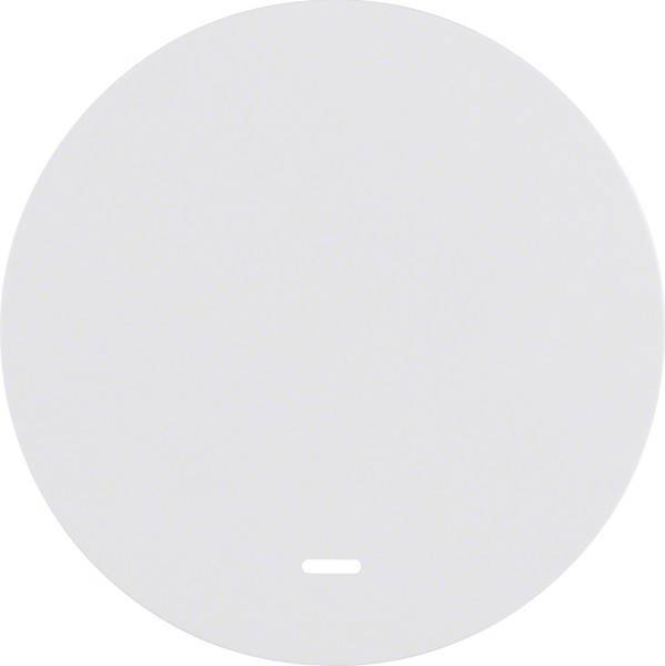 Berker Wippe pows/gl 16212089