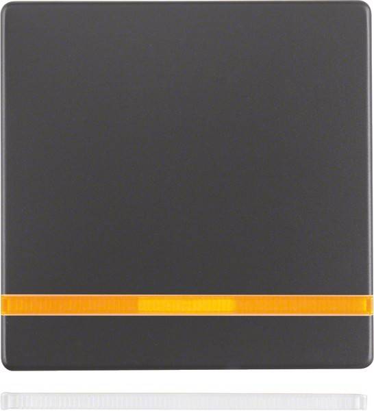 Berker Wippe anth/sa 16216086