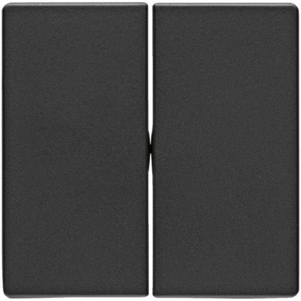 Berker Wippe anth/sa 16236086