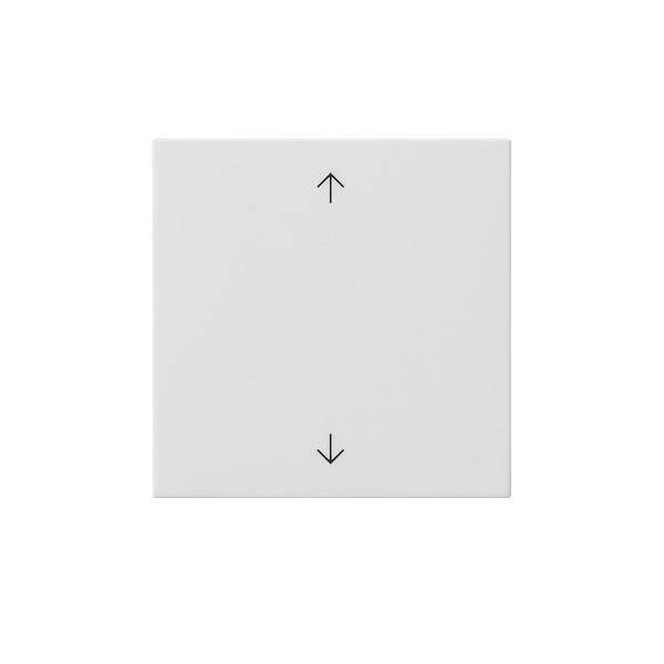 Gira Bedienaufsatz rws 536103