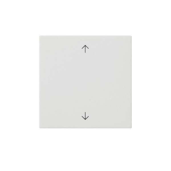 Gira Bedienaufsatz rws 536127