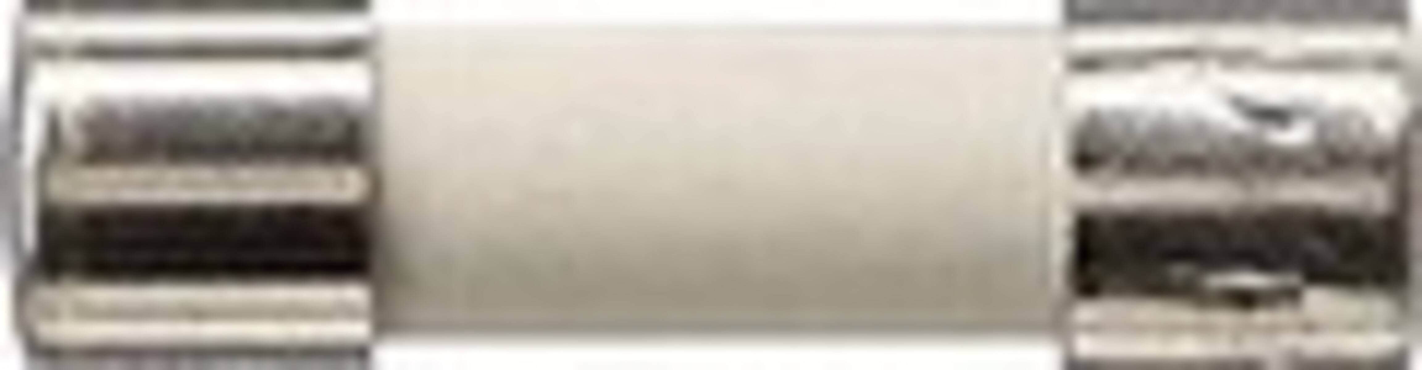 Gira Ersatzsicherung 049727