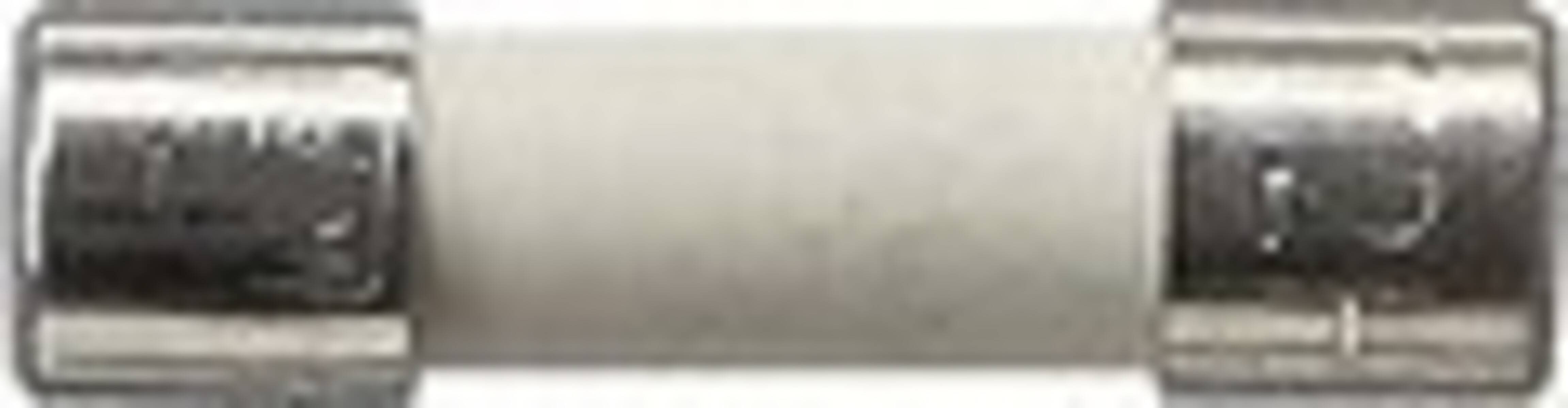 Gira Sicherung 049806