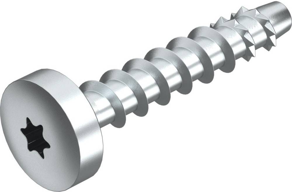 Eine silberfarbene Metallschraube mit sternförmigem Antriebskopf, diagonal auf weißem Hintergrund dargestellt.