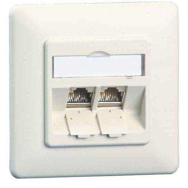 BTR NETCOM Anschlussdose C6Amodul UP TN C6Amod-2UP-180rw