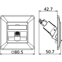 BTR NETCOM Anschlussdose C6Amodul UP TN C6Amod-1UP-180rw BTR NETCOM Anschlussdose C6Amodul UP TN C6Amod-1UP-180rw