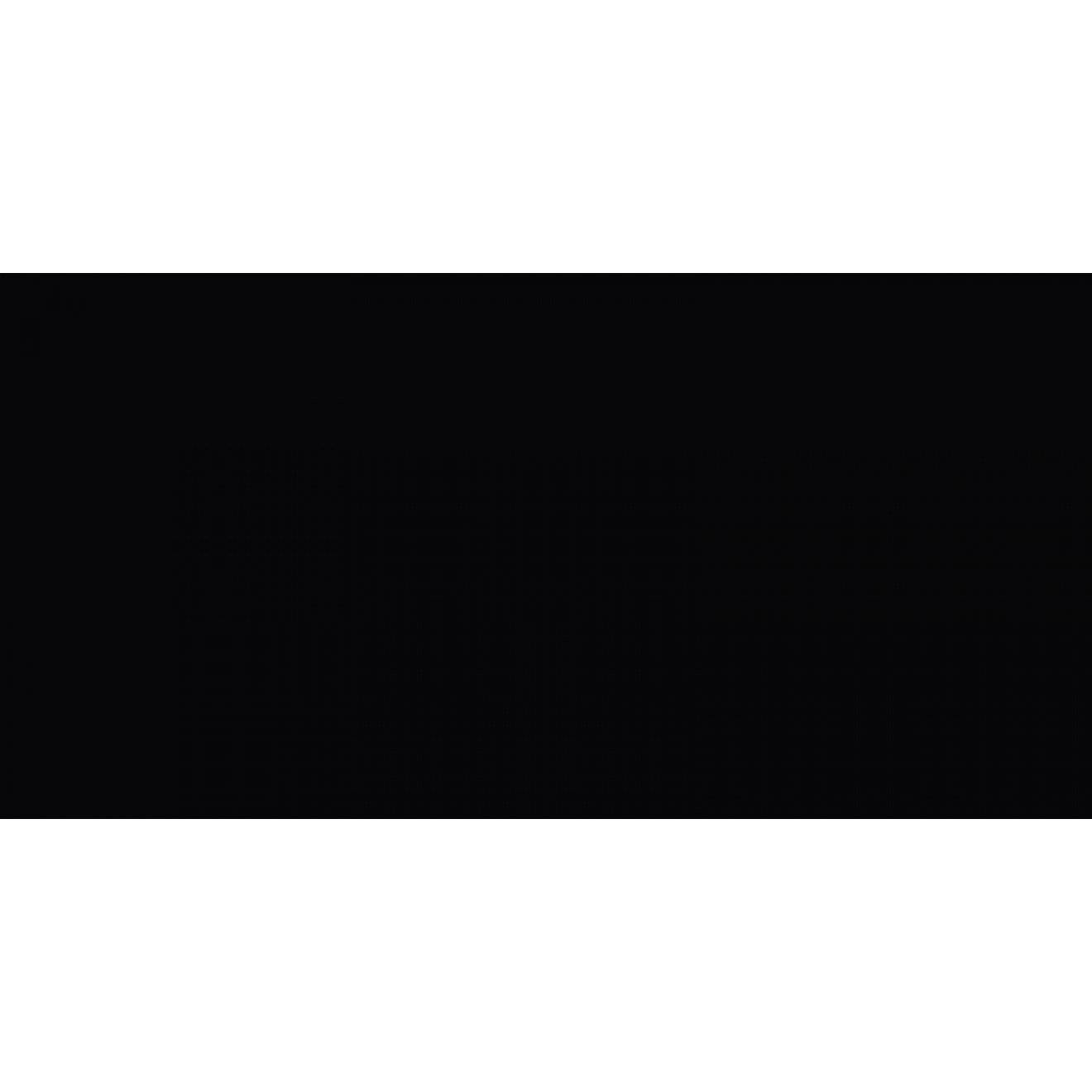 Zephir Aufbügel-Flicken ca. 30x6 cm 11 schwarz