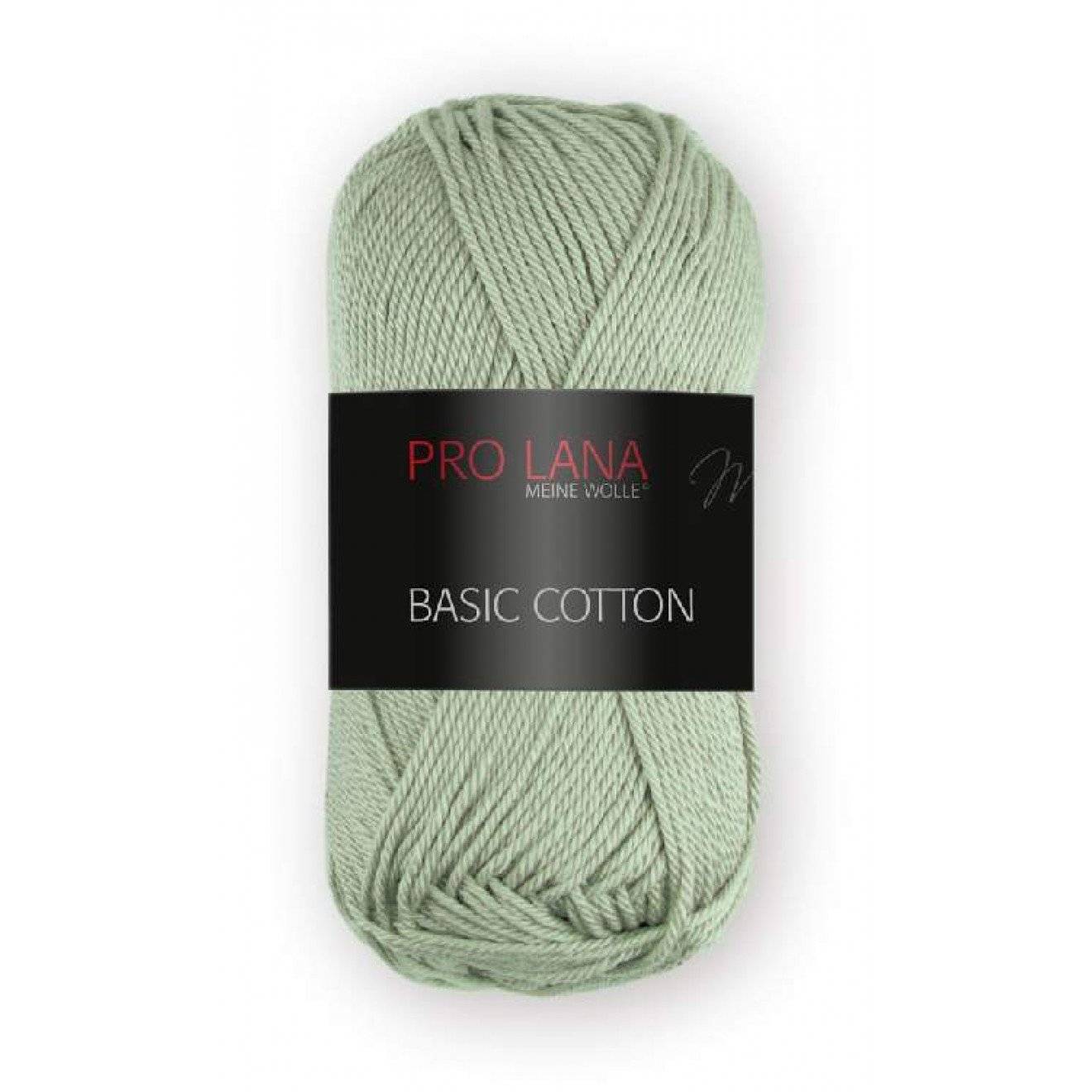 Basic Cotton 062 ca. 125 m 50 g
